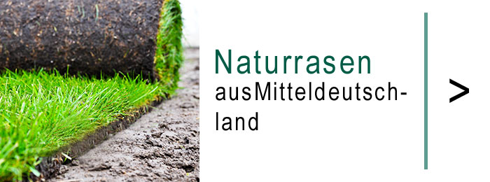 Rollrasen, Rollrasen verlegen, Kunstrasen, Galabau, Parthenstein, Mittelsachsen, Nordsachsen, Leipzig, Dresden, Halle, Bad Dürrenberg, Chemnitz, Görlitz, Leipziger Land, Muldental, Sachsen, Sachsen Anhalt, Thüringen, Brandenburg, Berlin